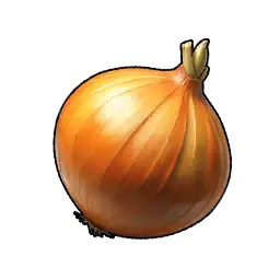 Soğan