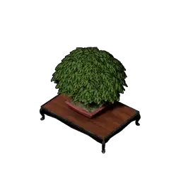 Bonsai