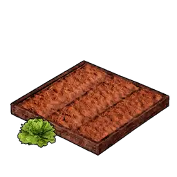 Lettuce Plantation