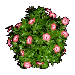 Faux Flowering Bush A