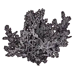 Faux White Bush