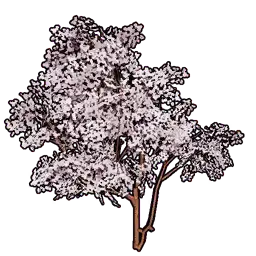 Faux Cherry Blossoms Set