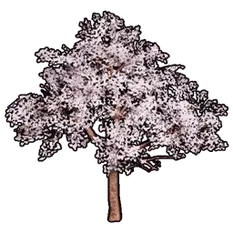 Faux Cherry Blossoms B