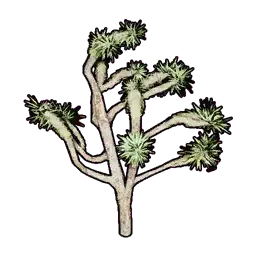 Faux Desert Greenery B