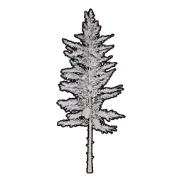 Faux Snowy Greenery B