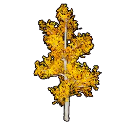 Faux Golden Foliage B
