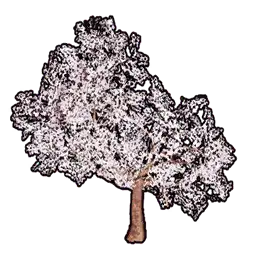 Faux Cherry Blossoms C