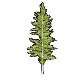 Faux Greenery C