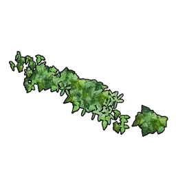 Horizontal Wall Ivy