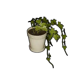 Potted Houseplant